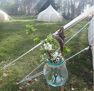 image of wild revive lotus belle tent in field